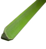 Treeflex Universalfiberglasstab Midi